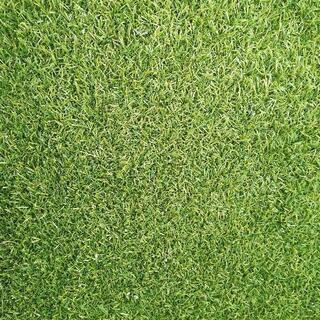 115×75人工芝　IKEA　三枚の画像