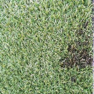 115×75人工芝　IKEA　三枚の画像