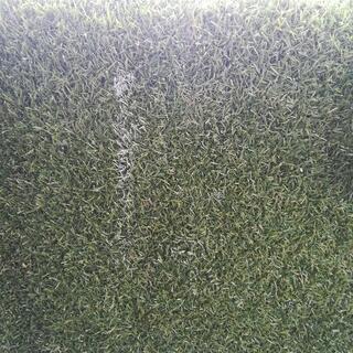 115×75人工芝　IKEA　三枚の画像