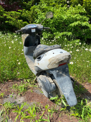 スズキ　原付