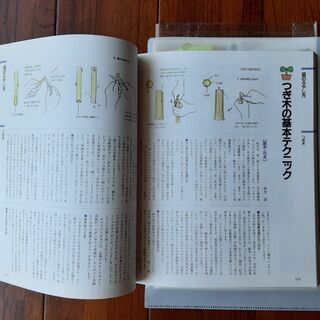 家庭菜園始める方　栽培テクニック　２５０　　　中古の画像