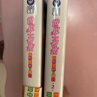世界一初恋 
