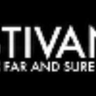 ★エスティバン　【新作シャフト】【新品】　ESTIVANT　TOUR　フレックスS　エスティバンツアー　ドラコン用　１W用 の画像