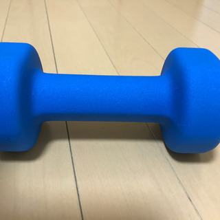 3kgダンベル x 1個の画像