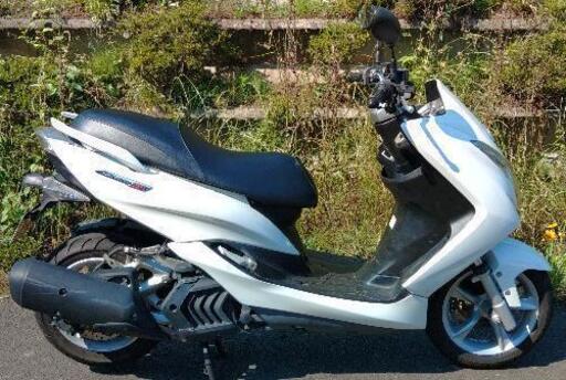 マジェスティS　155　(1409)