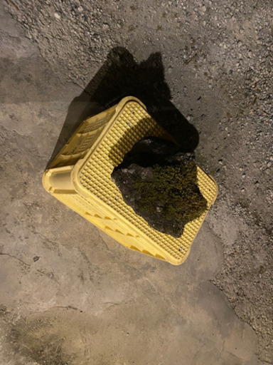 (代理出品です！) 神鍋産溶岩石　庭石などにおすすめ！