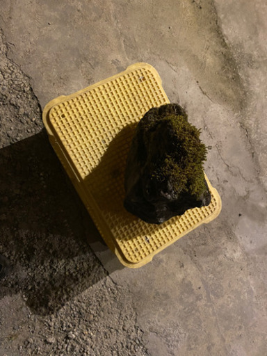 (代理出品です！) 神鍋産溶岩石　庭石などにおすすめ！