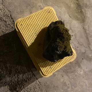 (代理出品です！) 神鍋産溶岩石　庭石などにおすすめ！