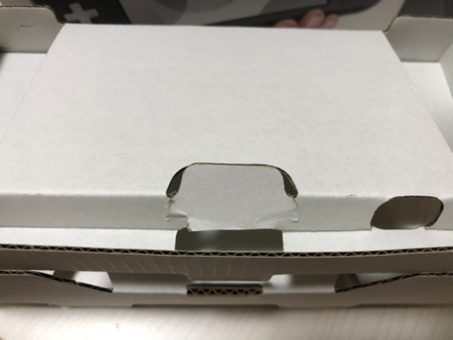 任天堂Switchライト