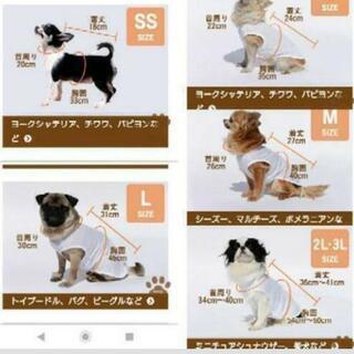 セール❣️新品🍀格安 ライフジャケット SS   🐕 犬用 イエロー   川遊びに。シーズー、シェルティ、柴犬、ビーグル、キャバリア等の犬種にも。             の画像