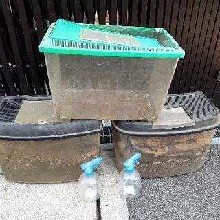 カブトムシ&クワガタ飼育、繁殖キット