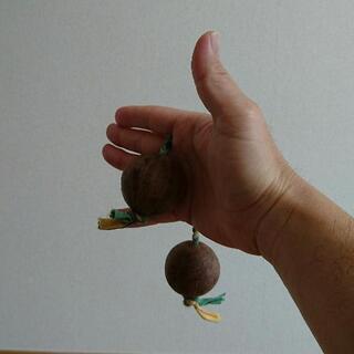 アサラトの画像
