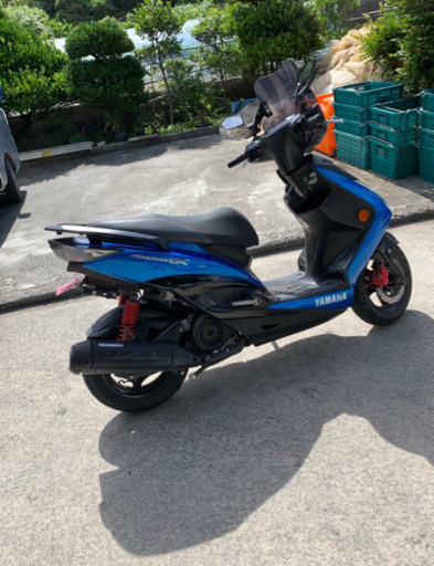 シグナス3型 国内
