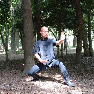 7/18　【京都】中国伝統武術《車氏形意拳》基本功セミナーの画像