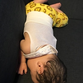 ラコステ　6店セットの画像