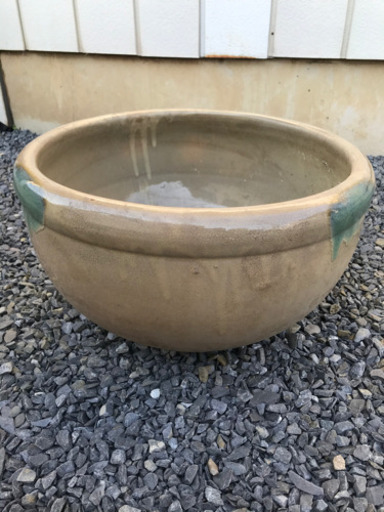睡蓮鉢売ります❗️