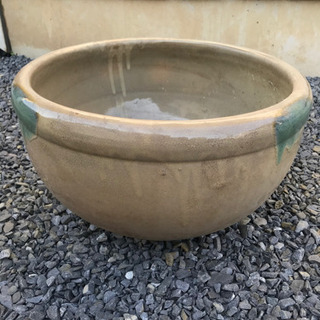 睡蓮鉢売ります❗️