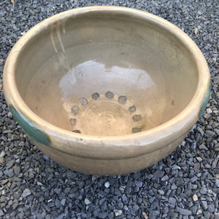 睡蓮鉢売ります❗️の画像