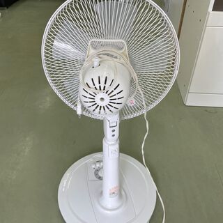 【リサイクルショップ　ピカソ　小松原】株式会社おおたけ 扇風機 EF-F316T 2016年製 の画像