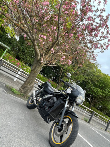 エリミネーター250SE