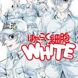 漫画、アニメ好きな人ー*(*ˊᵕˋ*)و - 友達