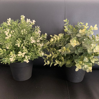 フェイクグリーン　観葉植物　IKEA他　
