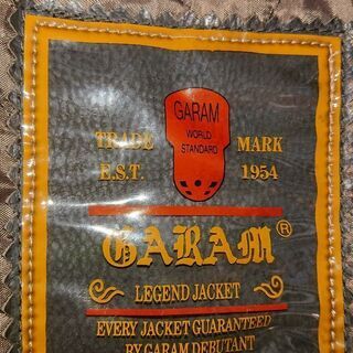 革ジャンの画像