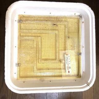 爬虫類用海外製の孵卵器の画像