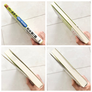 【ネット決済・配送】#27 本　脳を活かす勉強法 奇跡の「強化学習」　茂木健一郎　参考書　教科書　勉強　学び　学習 Brain & Study method how to learnの画像