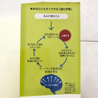 【ネット決済・配送】#27 本　脳を活かす勉強法 奇跡の「強化学習」　茂木健一郎　参考書　教科書　勉強　学び　学習 Brain & Study method how to learnの画像