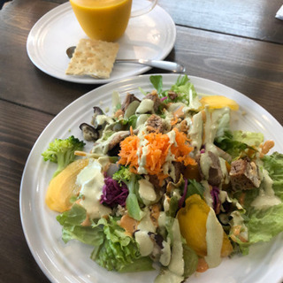 ビーガンカフェに一緒に行ってくれる方🌱