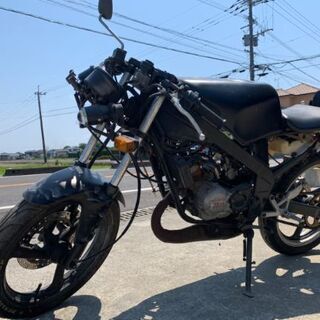 TZR