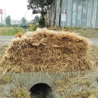 ②残り僅か◆麦わら・麦藁・敷きわら◆農家さん・家庭菜園などに