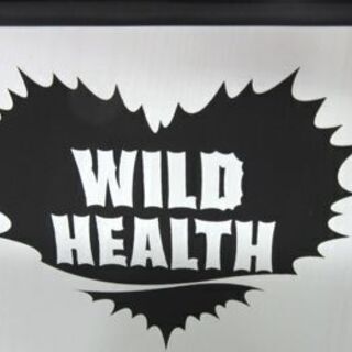 Coca-Cola Zero パブミラー 42×30cm コカ・コーラ WILD HEALTH ワイルドヘルス アメリカン 雑貨 ディスプレイ 装飾 札幌 厚別店の画像