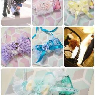 リングドッグオーダー結婚式用犬用受付中💍🐶💒