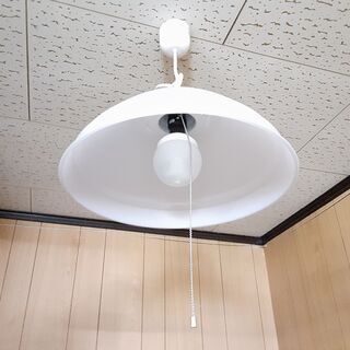 ペンダントライト タキズミ 照明器具  / AJ-0037-2Fの画像