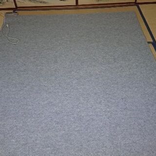 電気カーペット（１００Ｖ－７５０Ｗ）