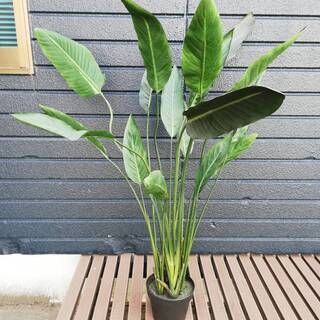 【061113】造花　観葉植物　鉢サイズ直径18㎝　高さ120㎝...