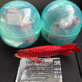 アロワナのフィギュアの画像