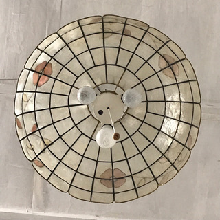 カスピシェルペンダントライトの画像