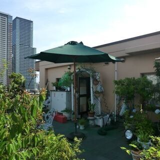 ガーデンパラソル　　直径270ｃｍ
