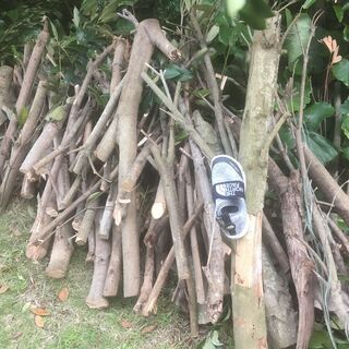 薪(まき)材🌳マテバシイ🌳（まだ残っています）