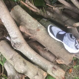 薪(まき)材🌳マテバシイ🌳（まだ残っています）の画像