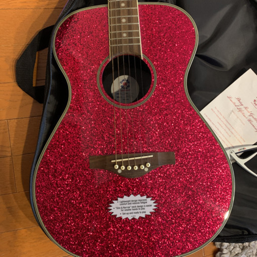 Daisy Rock デイジーロック　アコースティックギター(ソフトケース、カタポスト付き)