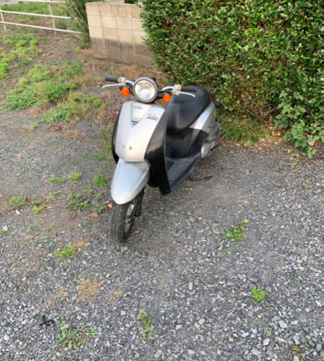 ホンダ　トゥデイ　原付　バイク　50cc