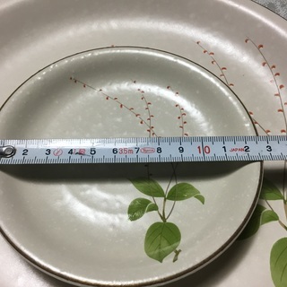 庫山窯　水引草【大皿1枚】【小皿5枚】の画像