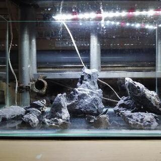 ADA60cm水槽&基本セット