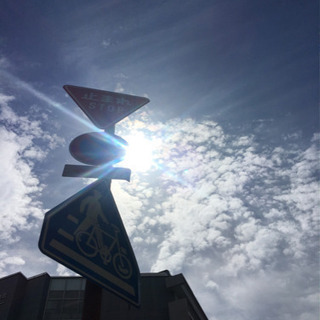 朝活☀️おさんぽ