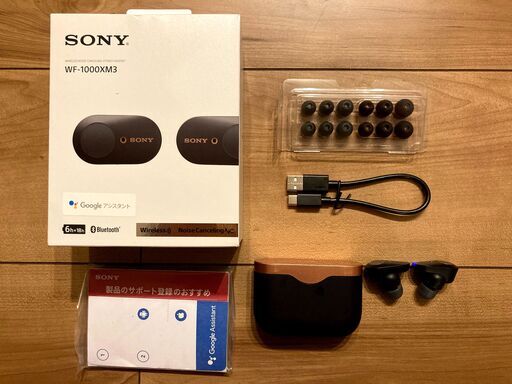 SONY ワイヤレスイヤホン WF-1000XM3