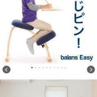 【美品】バランスチェア イージー サカモトハウス リボ社正規品